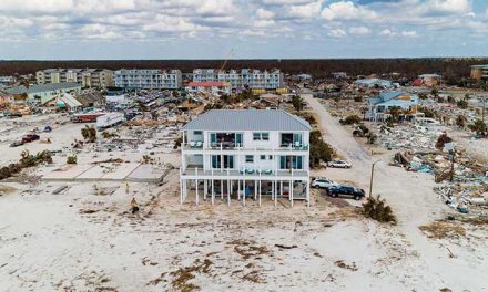 Mexico Beach Survivor