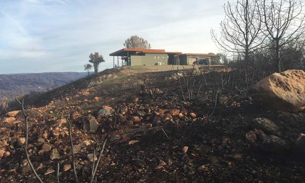 Recovering From the California Wildfires: How ICF is Playing a Role