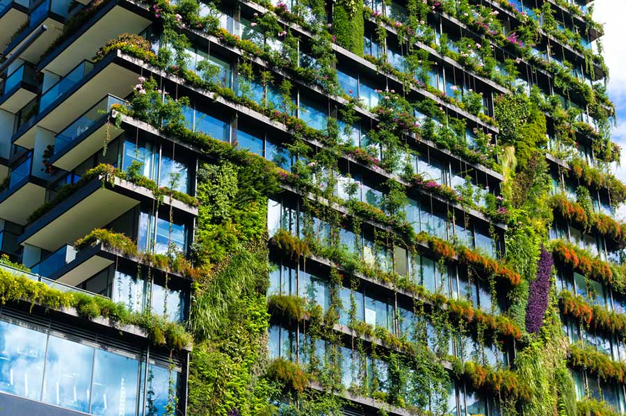 Building Green Easy & Inexpensive